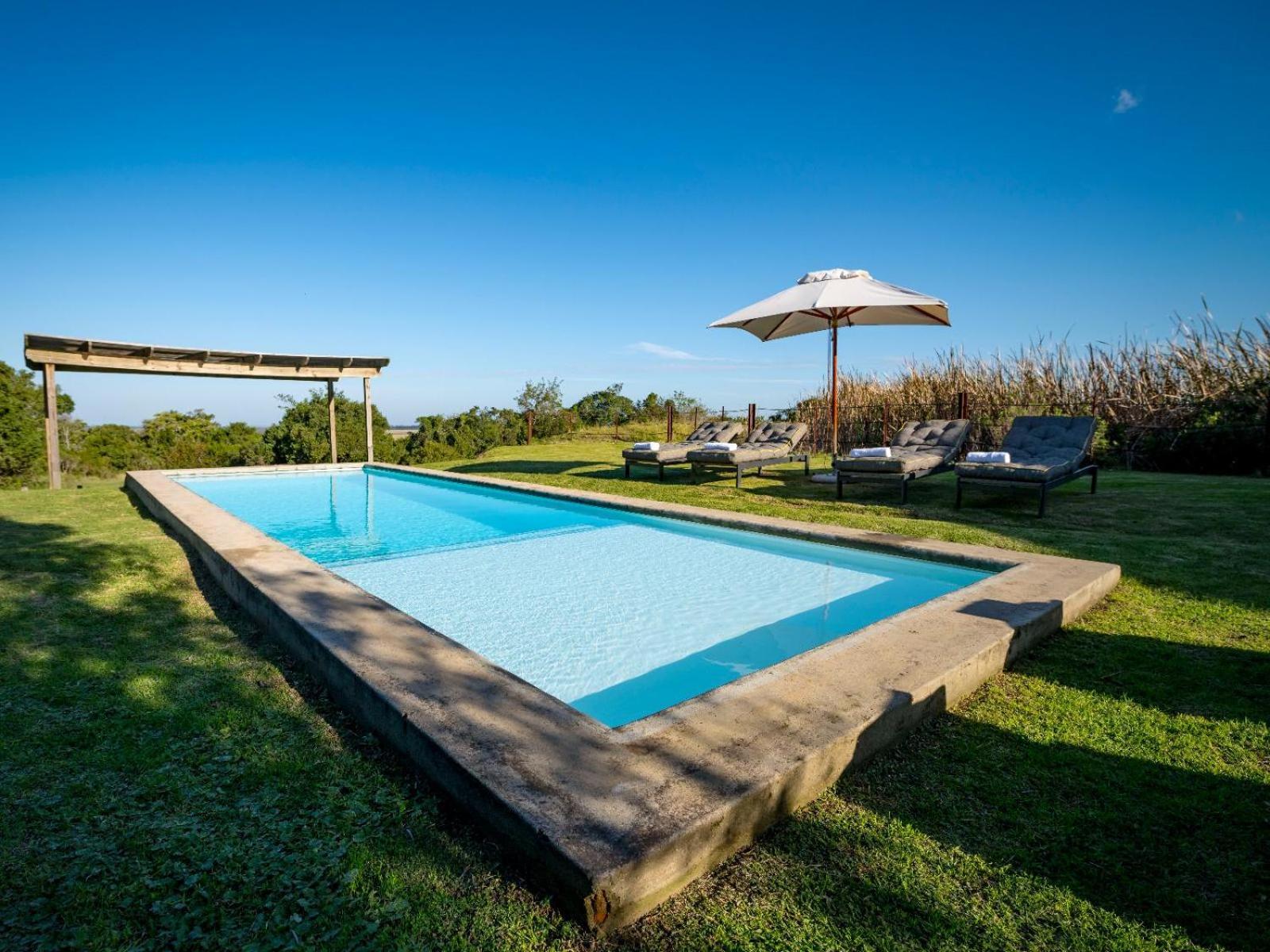 Belle Balance Bush Lodge Plettenberg Bay Exterior photo