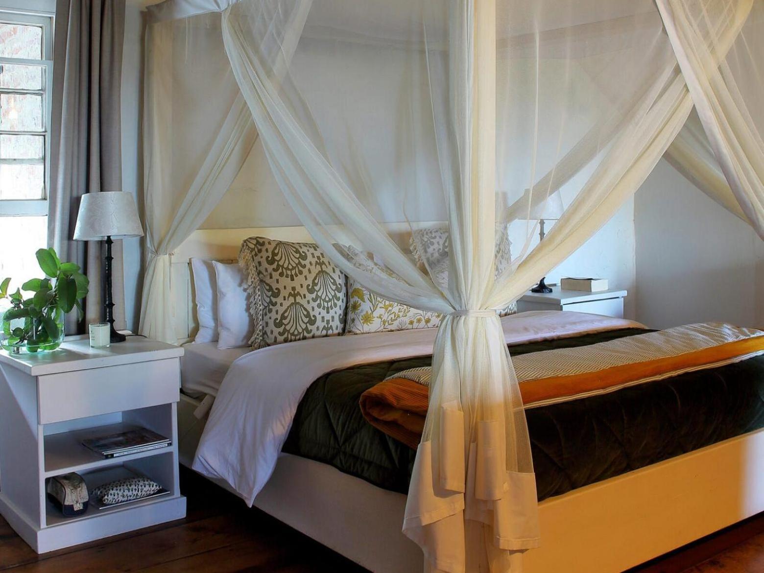 Belle Balance Bush Lodge Plettenberg Bay Room photo